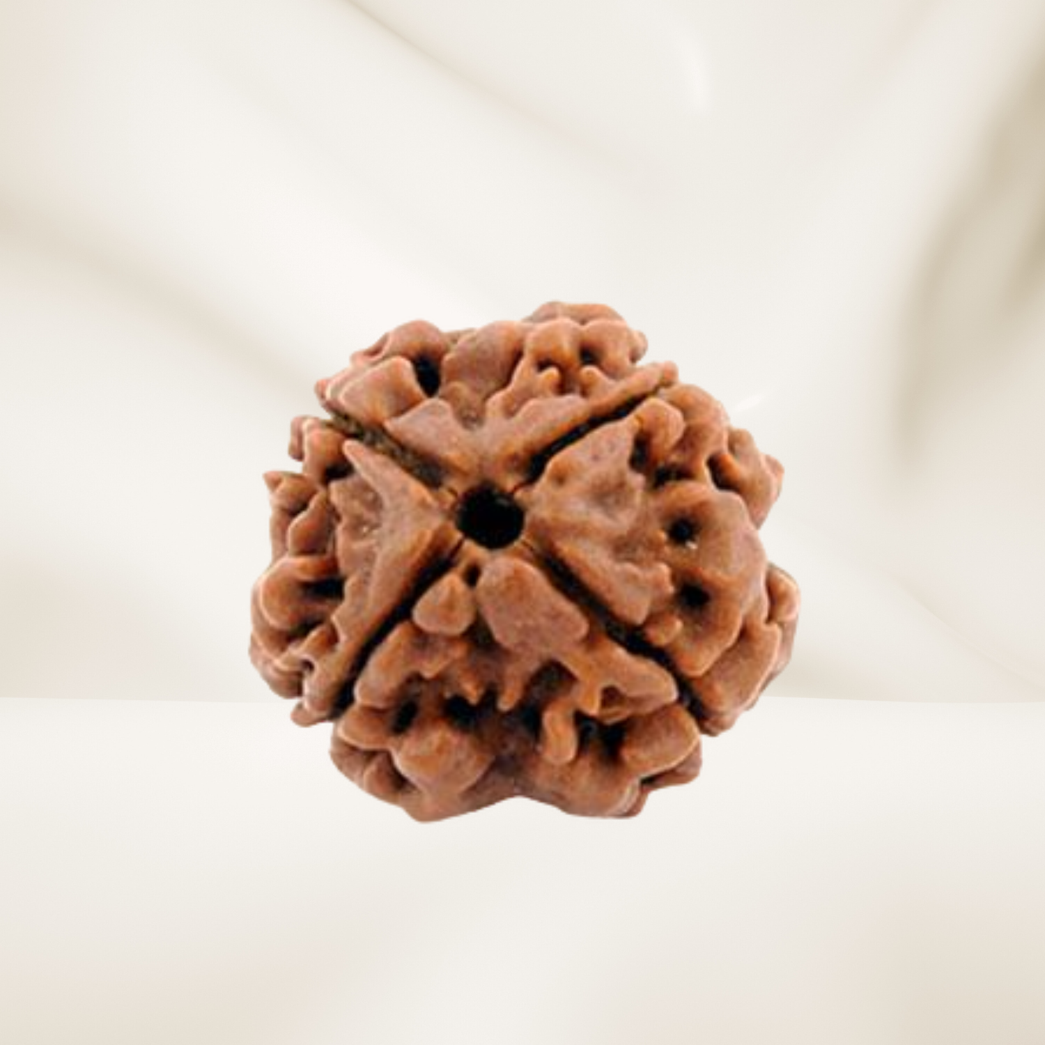 4 Mukhi Rudraksha